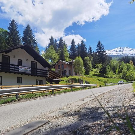 Casa Pietrosu Rodnei Hotel Borşa Eksteriør billede