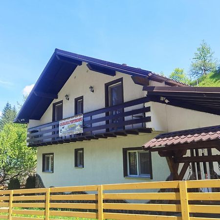 Casa Pietrosu Rodnei Hotel Borşa Eksteriør billede