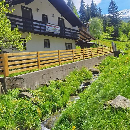 Casa Pietrosu Rodnei Hotel Borşa Eksteriør billede