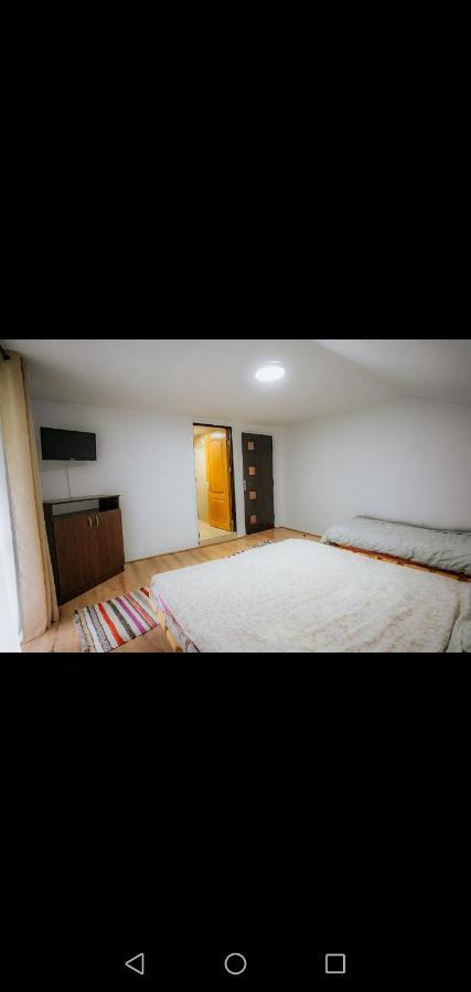 Casa Pietrosu Rodnei Hotel Borşa Eksteriør billede