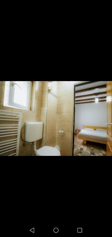 Casa Pietrosu Rodnei Hotel Borşa Eksteriør billede