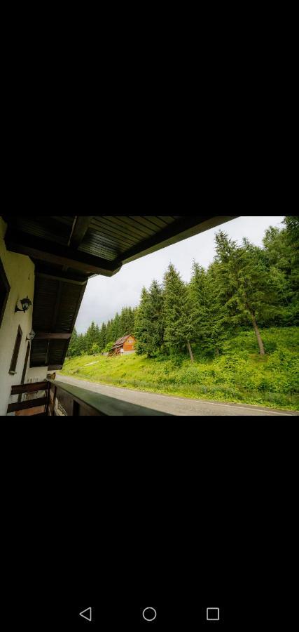 Casa Pietrosu Rodnei Hotel Borşa Eksteriør billede