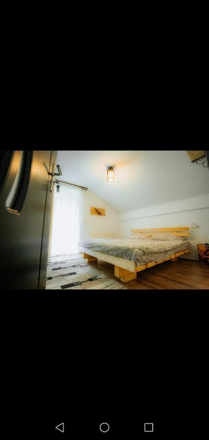 Casa Pietrosu Rodnei Hotel Borşa Eksteriør billede