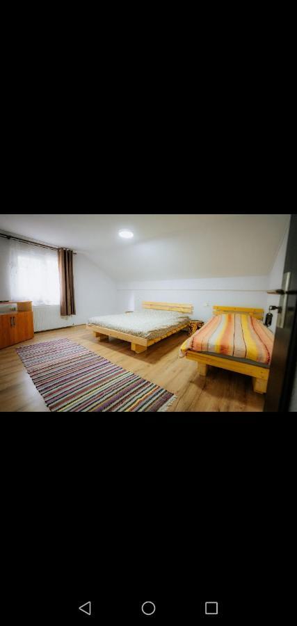 Casa Pietrosu Rodnei Hotel Borşa Eksteriør billede