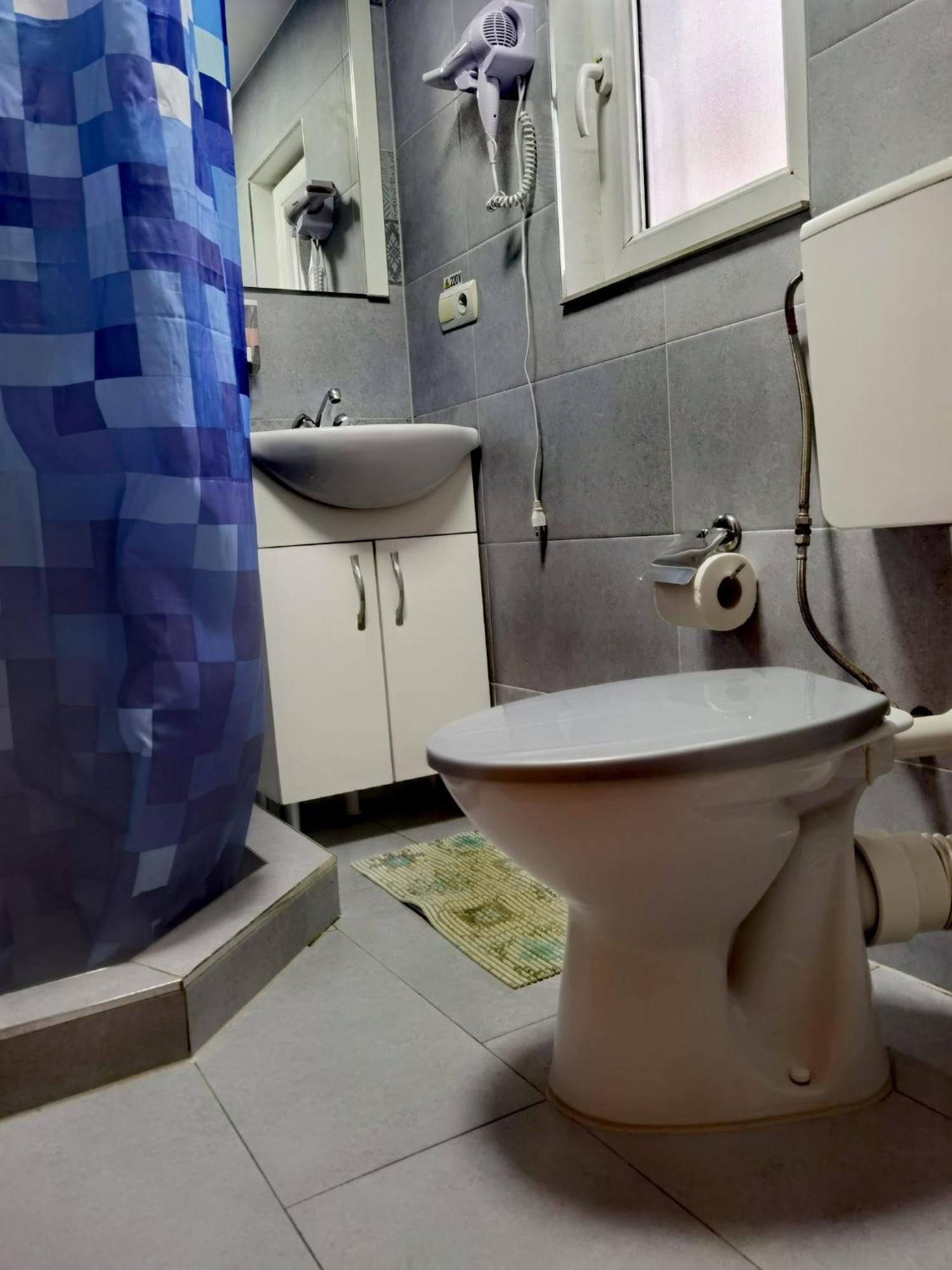 Casa Pietrosu Rodnei Hotel Borşa Eksteriør billede