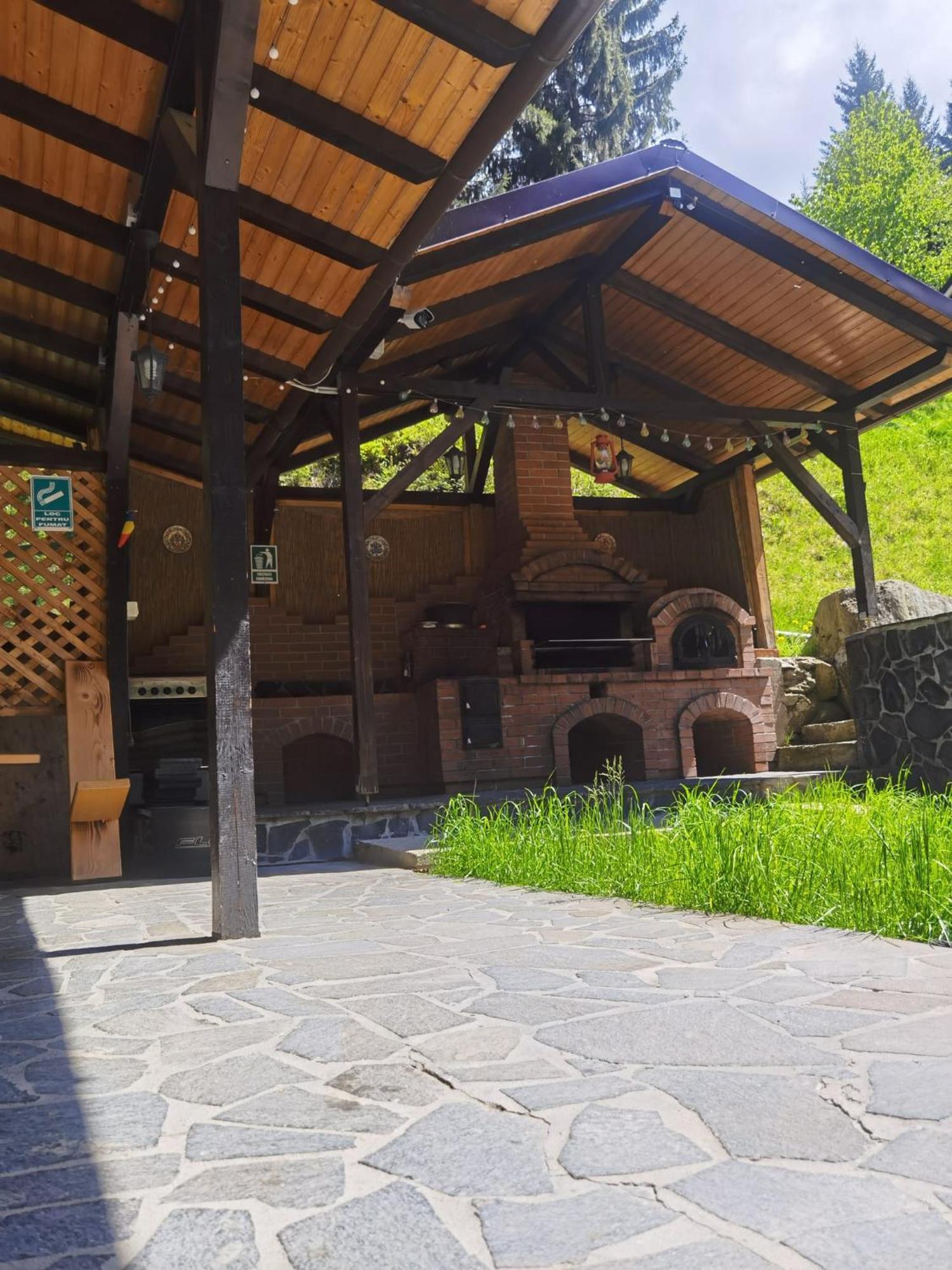 Casa Pietrosu Rodnei Hotel Borşa Eksteriør billede