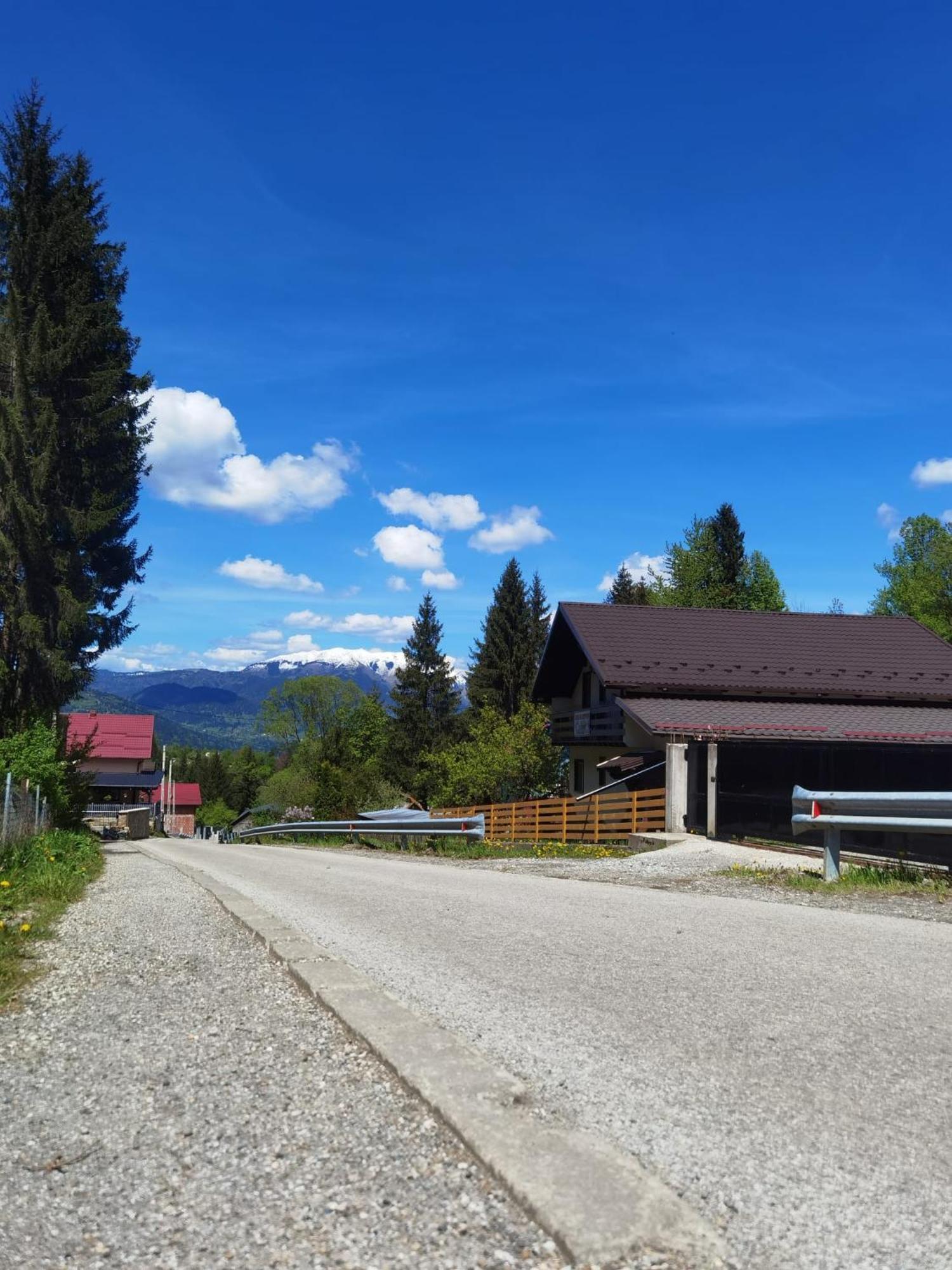 Casa Pietrosu Rodnei Hotel Borşa Eksteriør billede