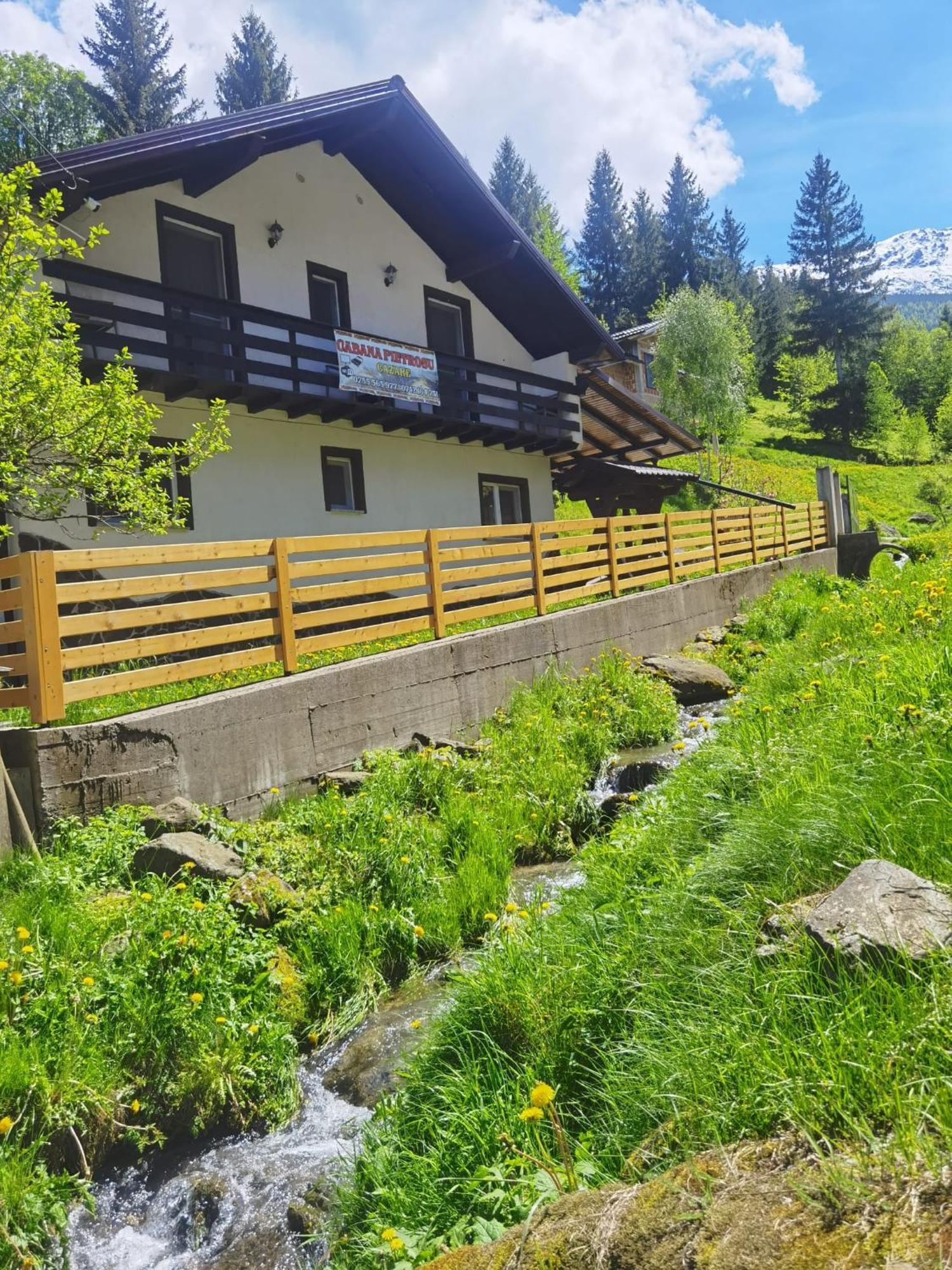 Casa Pietrosu Rodnei Hotel Borşa Eksteriør billede