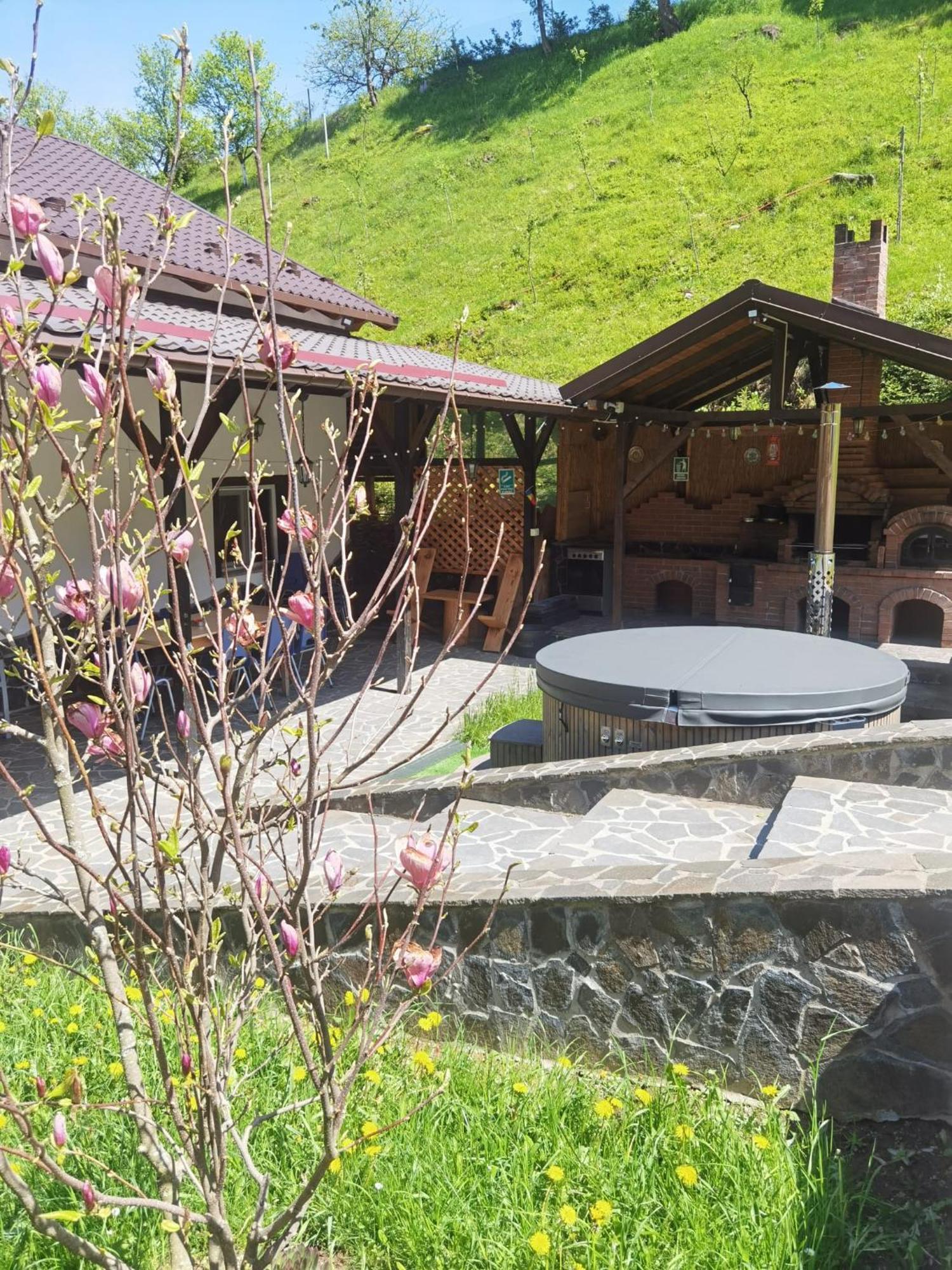 Casa Pietrosu Rodnei Hotel Borşa Eksteriør billede